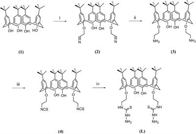 Design of a Thiosemicarbazide-Functionalized Calix[4]arene Ligand and Related Transition Metal Complexes: Synthesis, Characterization, and Biological Studies